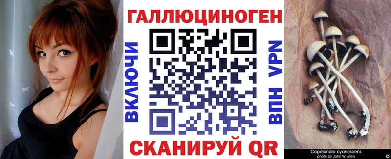 Галлюциногенные грибы мицелий  закладка  площадка формула  Мураши  блэк спрут ТОР 